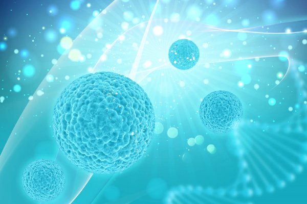 Surgical Oncologists